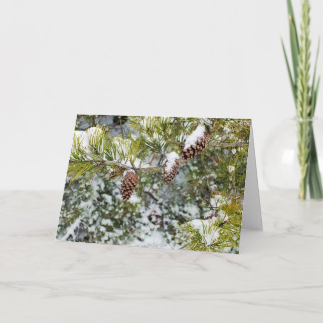 Festiva Tarjeta del día de fiesta de los conos del pino (Anverso)