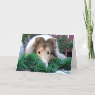 Festiva Tarjeta del día de fiesta del collie
