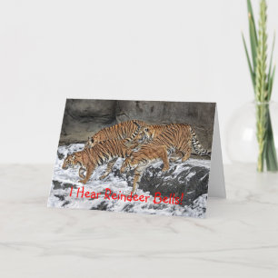 Festiva Tarjeta del día de fiesta del paquete del tigre