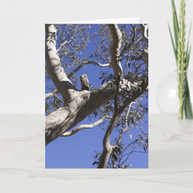 Festiva Tarjeta del día de fiesta, marismas (Anverso)