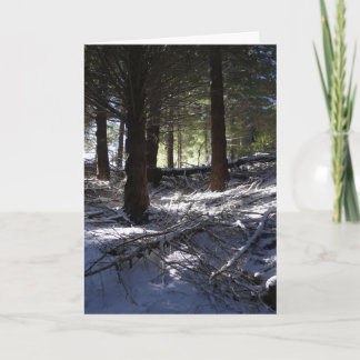 Festiva Tarjeta del día de fiesta, Queenstown máximo de