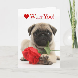 Festiva Tarjeta del día de San Valentín adorable del