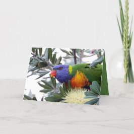 Festiva Tarjeta del día de San Valentín con Lorikeet