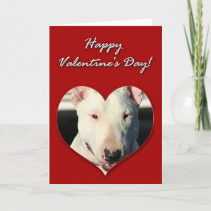 Festiva Tarjeta del día de San Valentín de bull terrier