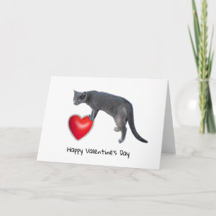 Festiva Tarjeta del Día de San Valentín de gato gris soste