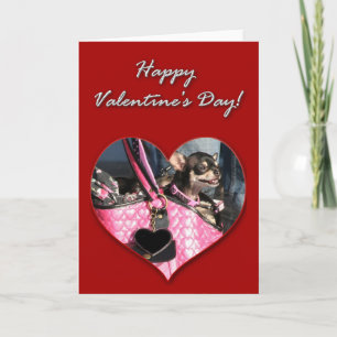 Festiva Tarjeta del día de San Valentín de la chihuahua