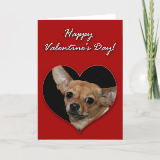 Festiva Tarjeta del día de San Valentín de la chihuahua