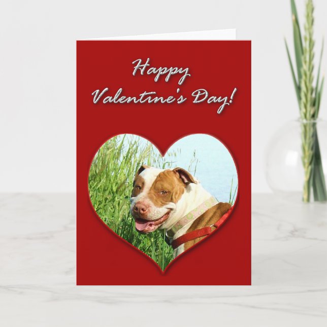 Festiva Tarjeta del día de San Valentín de Pitbull (Anverso)