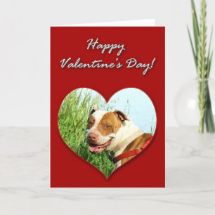 Festiva Tarjeta del día de San Valentín de Pitbull