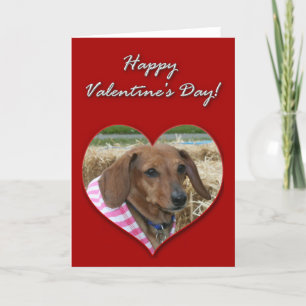 Festiva Tarjeta del día de San Valentín del Dachshund