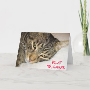 Festiva Tarjeta del día de San Valentín del Tabby
