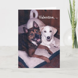 Festiva Tarjeta del día de San Valentín linda adaptable de