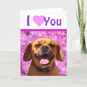 Festiva Tarjeta del día de San Valentín linda de Puggle