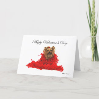 Festiva Tarjeta del día de San Valentín roja de la boa de