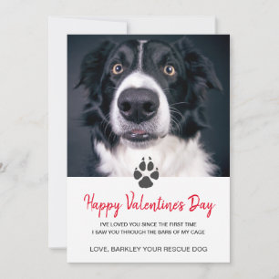 Festiva Tarjeta del día de Valentin de la foto del perro p