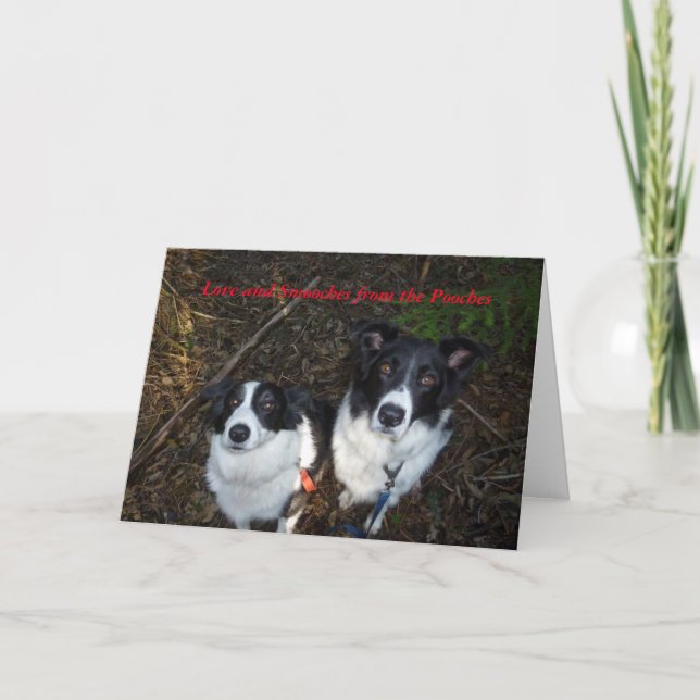 Festiva Tarjeta del el día de San Valentín de los perros (Anverso)