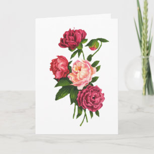 Festiva Tarjeta del el día de San Valentín de los rosas
