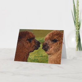 Festiva Tarjeta del el día de San Valentín del amor BFF de