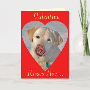 Festiva Tarjeta del el día de San Valentín del labrador