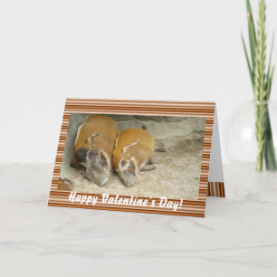 Festiva Tarjeta del warthog del day_ de la tarjeta del día