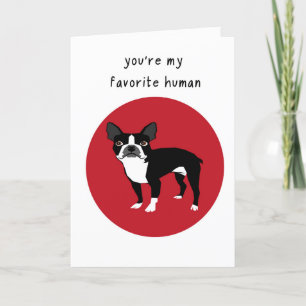 Festiva Tarjeta Día de San Valentín Boston Terrier