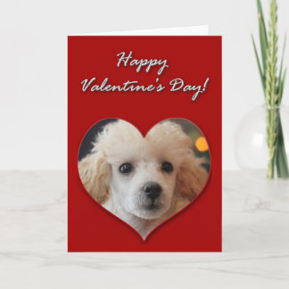 Festiva Tarjeta Día de San Valentín de cachorro de juguete