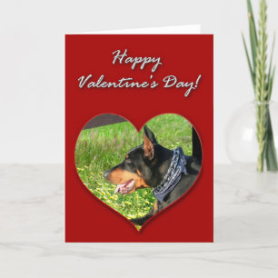 Festiva Tarjeta Día de San Valentín Doberman Pinscher