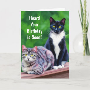 Festiva Tarjeta divertida de cumpleaños de dos gatos para