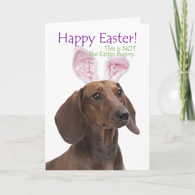 Festiva Tarjeta divertida de Pascua de Dachshund (Anverso)
