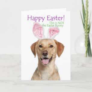 Festiva Tarjeta divertida de Pascua de Labrador Retriever