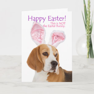 Festiva Tarjeta divertida de Pascua para Beagle