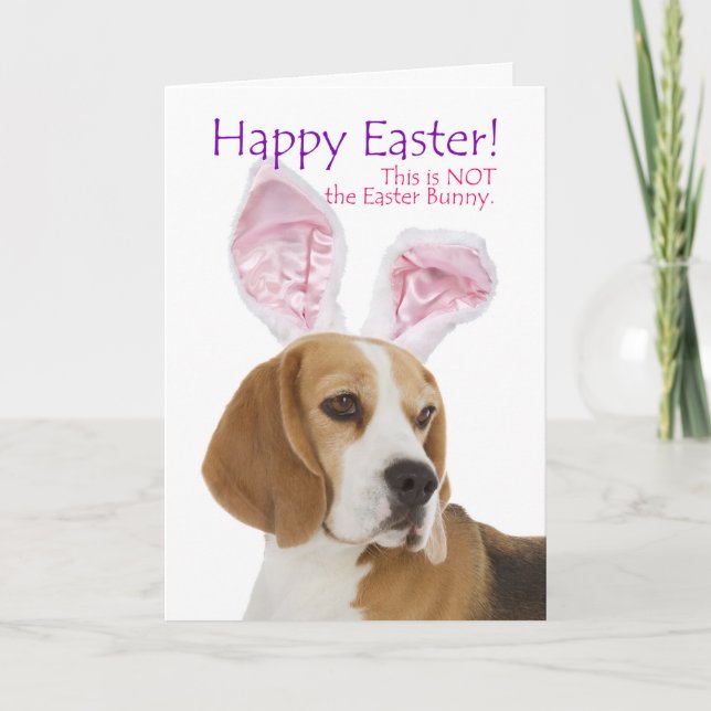 Festiva Tarjeta divertida de Pascua para Beagle (Anverso)