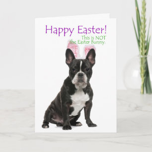 Festiva Tarjeta divertida de Pascua para Boston Terrier