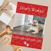 Tarjeta divertida de vacaciones para mascotas