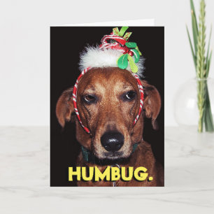 Festiva Tarjeta divertida para Navidades de perro HUMBUG