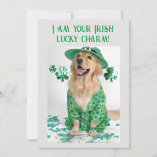 Festiva Tarjeta divertida personalizable para perros del D