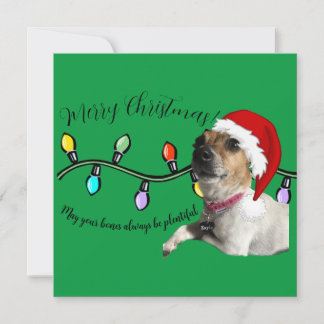 Festiva tarjeta doggo para navidades