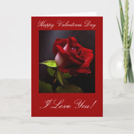 Festiva Tarjeta el día de San Valentín