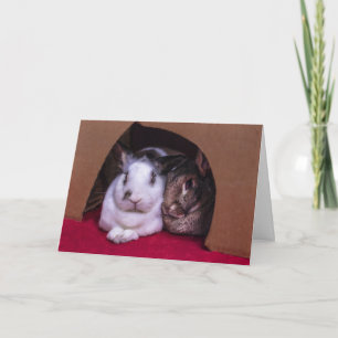 Festiva Tarjeta El día de San Valentín BunnyLuv (de ella)