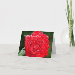 Festiva Tarjeta el día de San Valentín con rosa rojo