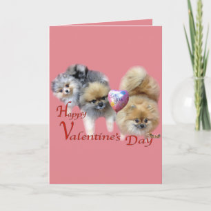 Festiva Tarjeta el día de San Valentín de My Pom Pals