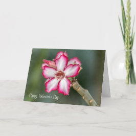 Festiva Tarjeta el día de San Valentín - Rosa del desierto