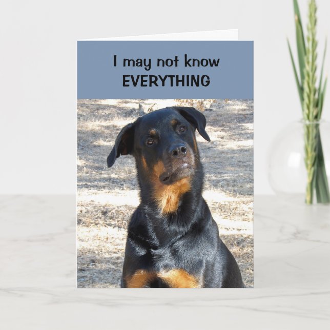 Festiva Tarjeta El día de San Valentín Rottweiler absoluta (Anverso)