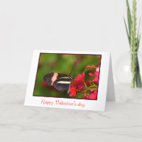Tarjeta el día de San Valentín zebra de ala larga
