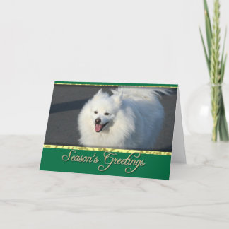 Festiva Tarjeta esquimal americana de los saludos de la