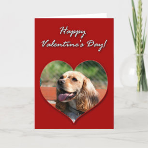 Festiva Tarjeta feliz de cocker spaniel del el día de San