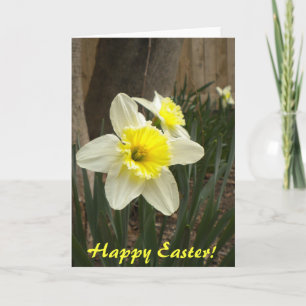 Festiva Tarjeta feliz de Daffodils de Pascua