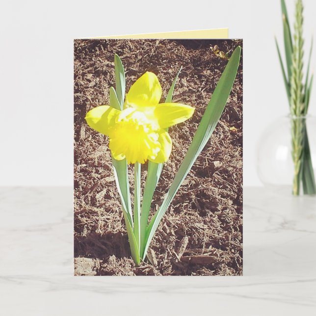 Festiva Tarjeta feliz de Pascua (Anverso)