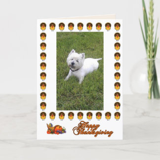 Festiva Tarjeta feliz de Westie de la acción de gracias