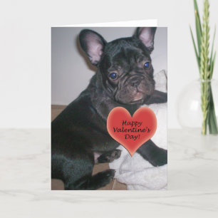 Festiva Tarjeta feliz del bulldog francés del el día de